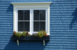 house window