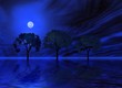 blue night. trio trees
