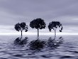 three trees