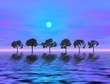 blue moonlight