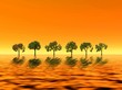 trees on sunset