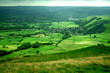 green vally