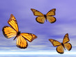 butterflies in flight