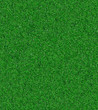 grass