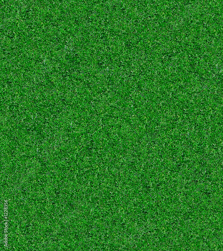 grass