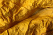 Photo: leaf leaf