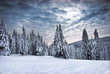 winter mountains