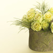pot of flowers. pot of flowers.