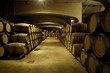 bodega 1