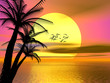 colorful tropical sunset, sunrise colorful tropical sunset, sunrise