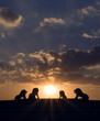 sun guards