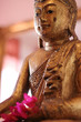 goldener buddha 1