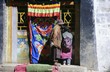 tibet rue