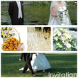 invitation au mariage