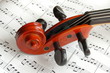 violin head violin head
