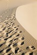 desert desert