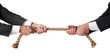 Photo: tug of war tug of war