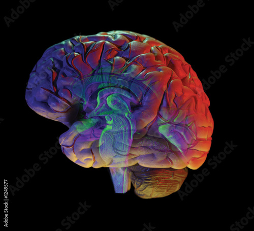 Photo: brain on black brain on black