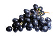 grape