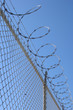 razor wire fence