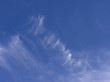 ciel