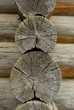 old logs