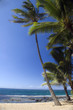 island serenity