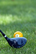 Golf Club