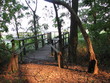 walkway to the wtaer