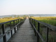 walkway to long island sound