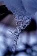 frozen drop