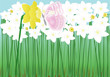 springtime butterfly and daffodils