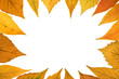 fall background