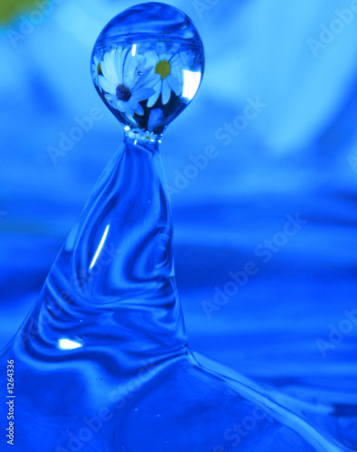 Photo: drop drop