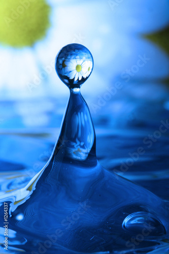 Photo: drop of water drop of water