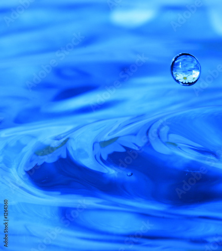 Photo: tiny waterdrop tiny waterdrop