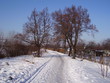 winter road