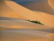 dunes dunes