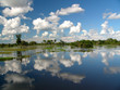 marais marais