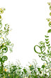 floral