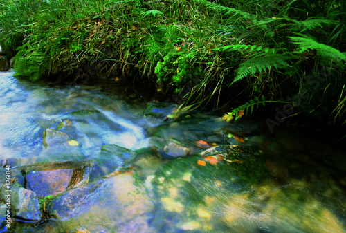 wald #12 wald #12