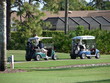 golf carts on the go