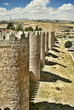 fortifications of avila.