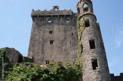 Foto: castle in view castle in view