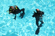 scuba divers