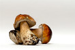 mushrooms