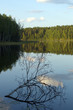 karelian landscape