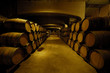 bodega 3