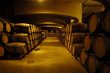 bodega 5