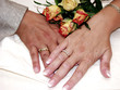 lesbian couple, newly wed. lesbian couple, newly wed.